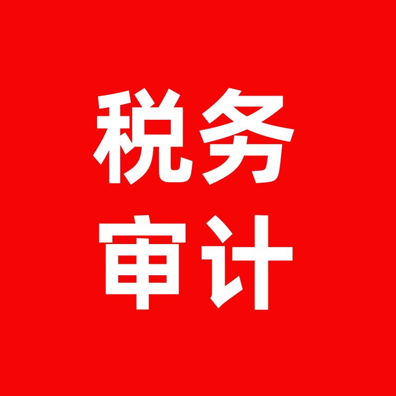 税务审计